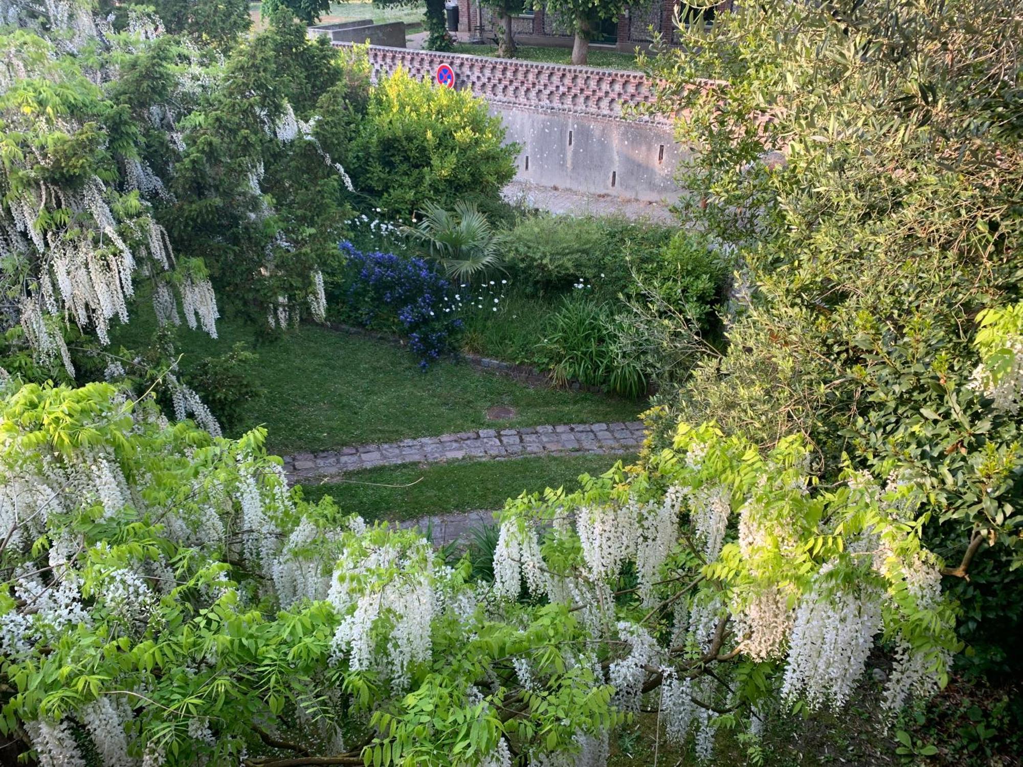 La Villa Flore Saint-Jouin-Bruneval المظهر الخارجي الصورة